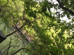 -白马涧龙池景区