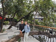 -泮溪酒家(荔枝湾店)