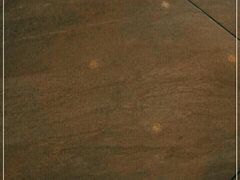 -CoCo都可(台东和兴店)