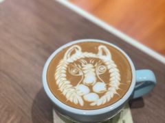 -SAFARI COFFEE
