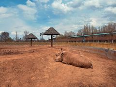 -鄂尔多斯野生动物园
