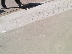 -亚龙湾国际玫瑰谷