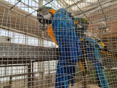 -南宫五洲植物乐园