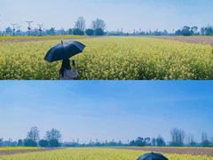 -中国天府农业博览园