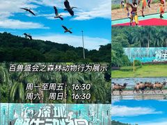 -深圳野生动物园