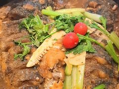 -老板恋上鱼(恒隆广场店)