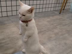 -有何Book(六堰体育馆店)