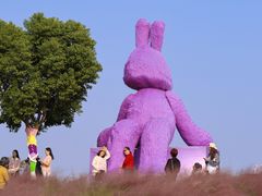 -阳澄湖半岛旅游度假区
