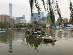 -团结湖公园