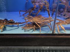 -阿伟海鲜楼·福建菜(延寿店)