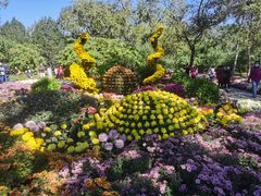 -国家植物园南园