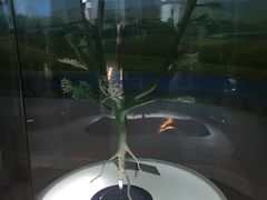 -辽宁古生物博物馆