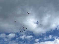 -灌篮高手动画打卡地