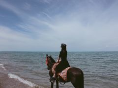 -青海湖国家重点风景名胜区