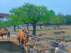 -西安秦岭野生动物园