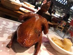 红烧乳鸽-大鸽饭(北京路店)