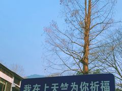 -西湖风景区十里琅珰-五云山