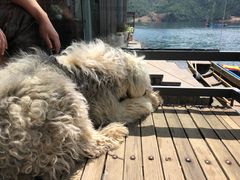 -丽江泸沽湖景区-里格半岛
