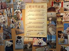 -翊宠yipet猫狗购宠庄园犬舍•猫舍