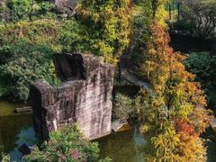 -广州莲花山旅游区