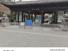 -莲湖公园