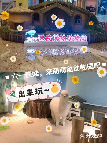 六一遛娃，来萌萌的动物园吧
