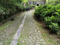 -镇江市南山风景名胜区竹林景区