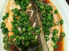 -连鹭海鲜·海肠捞饭·海胆饭(星海店)