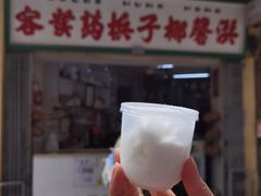 -洪馨椰子