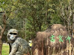 -姑婆山旅游区