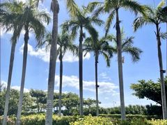 -三亚亚龙湾万豪度假酒店
