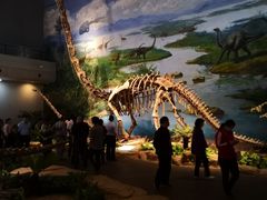 -自贡恐龙博物馆