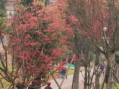 -白鹭湾湿地公园