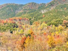 -塔川景区