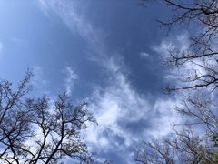 -云岗森林公园