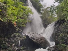 -大围山国家森林公园