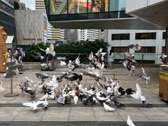 -中航城君尚购物中心
