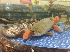 -顺德人家食府(黄金广场店)