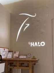 -Halo FLY运动空间