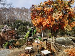 -HERRE·FARM 赫尔露营农场·团建聚会包场