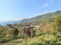 -塔川景区