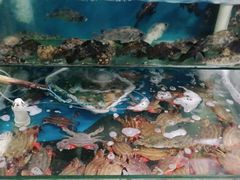 -大锅强·蒸海鲜青岛菜(吾悦广场店)