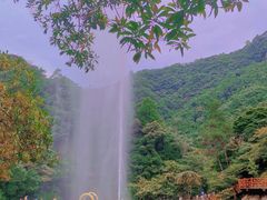 -龙湾潭国家森林公园