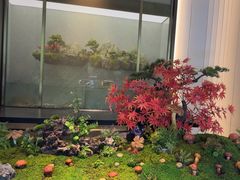 -外滩·云南人家(昆明旗舰店)