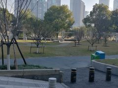 -西北湖绿化广场