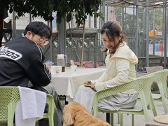 -丁丁厨娘