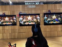 -Sony Store 索尼(上海淮海中路店)