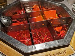 红锅底-蜀九香火锅(九眼桥店)