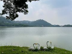 -顺峰山公园