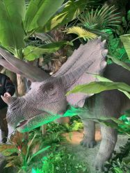 -恐龙探索乐园(磁器口店)